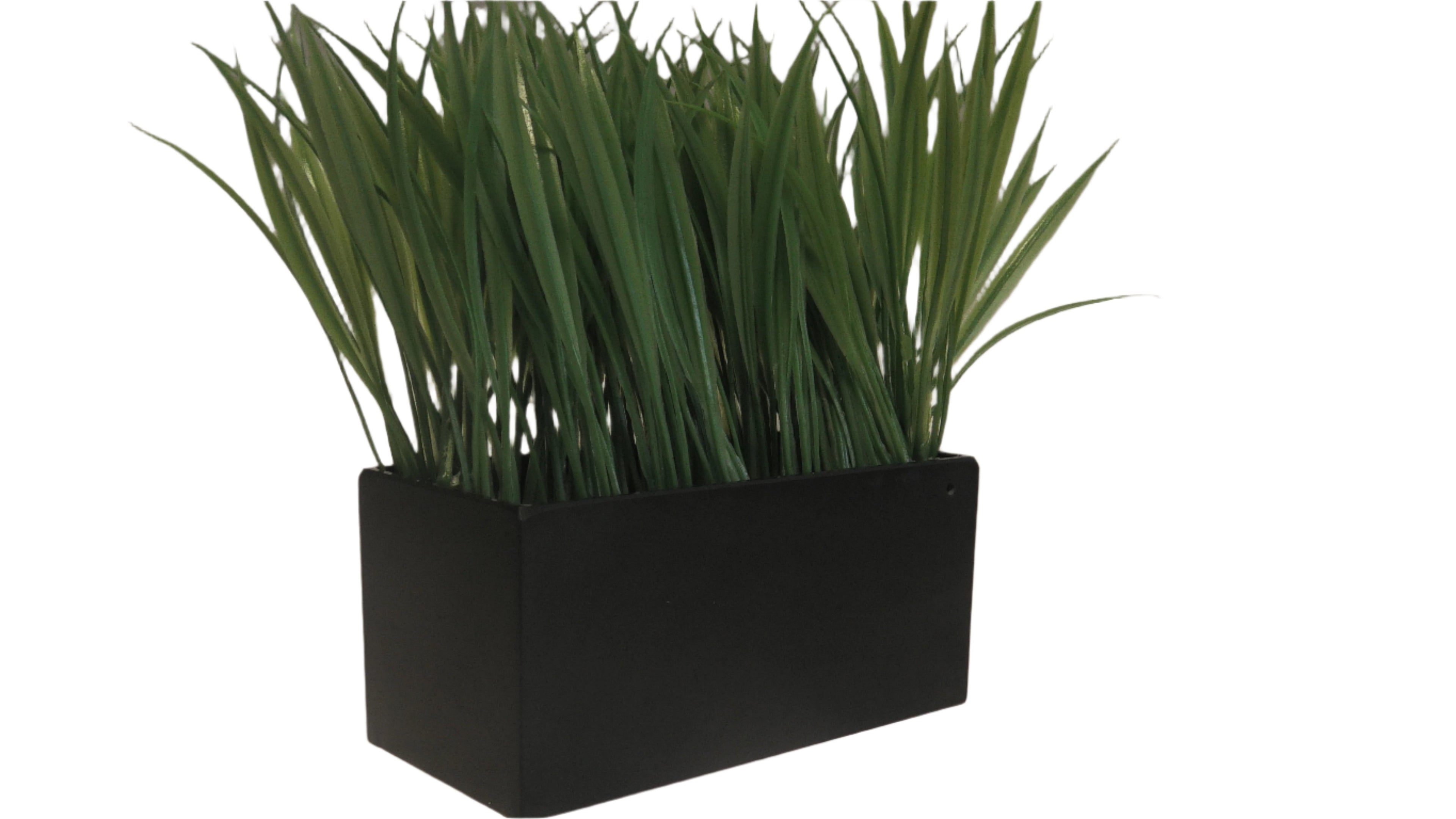 עציץ עם מצלמה נסתרת – פתרון מושלם לאבטחה דיסקרטית בבית ובמשרד 